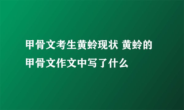 甲骨文考生黄蛉现状 黄蛉的甲骨文作文中写了什么
