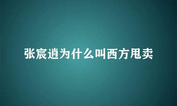张宸逍为什么叫西方甩卖
