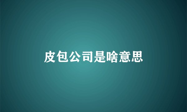 皮包公司是啥意思