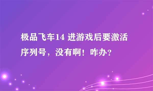极品飞车14 进游戏后要激活序列号，没有啊！咋办？
