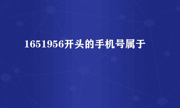 1651956开头的手机号属于
