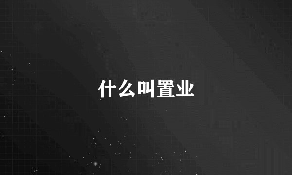 什么叫置业