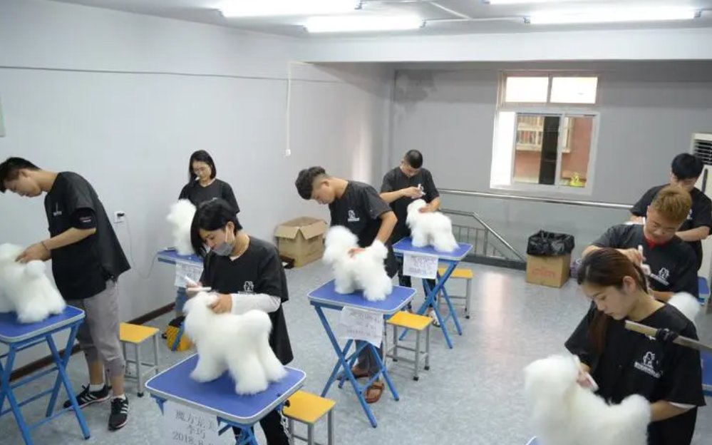 宠物美容师培训学费大概多少钱呢？