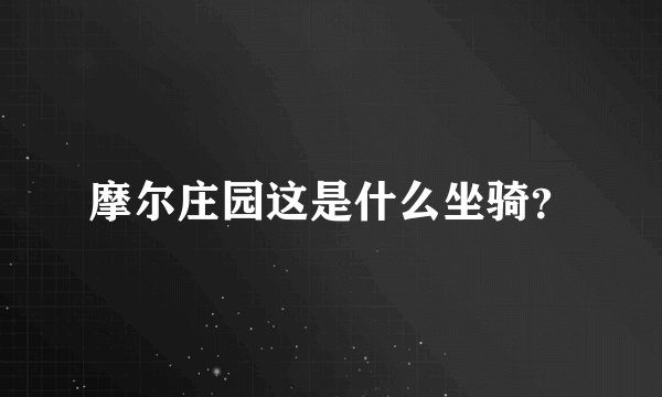 摩尔庄园这是什么坐骑？