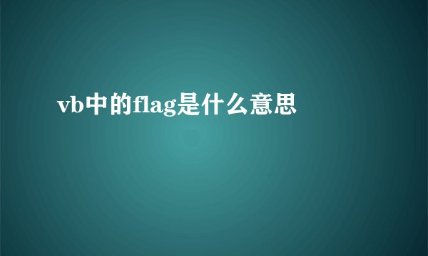 vb中的flag是什么意思