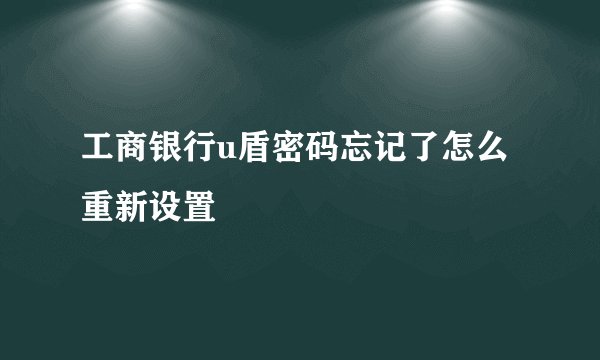 工商银行u盾密码忘记了怎么重新设置