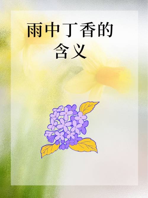 雨中丁香的含义？
