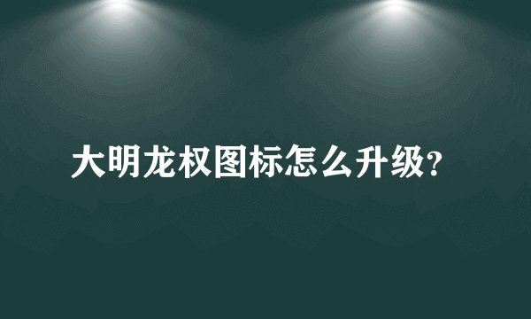 大明龙权图标怎么升级？