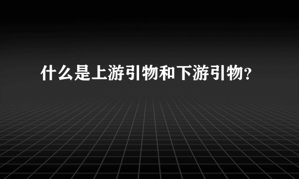 什么是上游引物和下游引物？