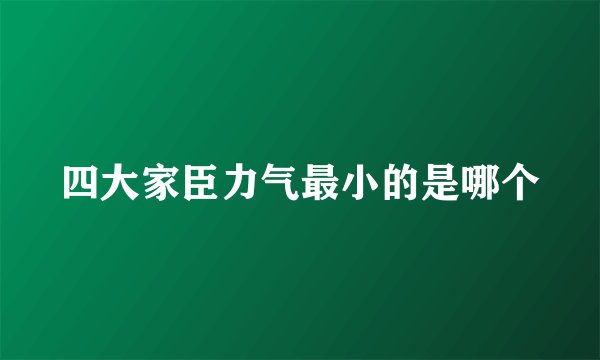 四大家臣力气最小的是哪个