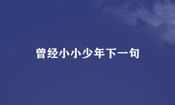 曾经小小少年下一句