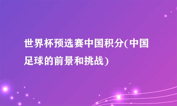 世界杯预选赛中国积分(中国足球的前景和挑战)