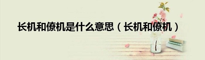 长机和僚机是什么意思长机和僚机