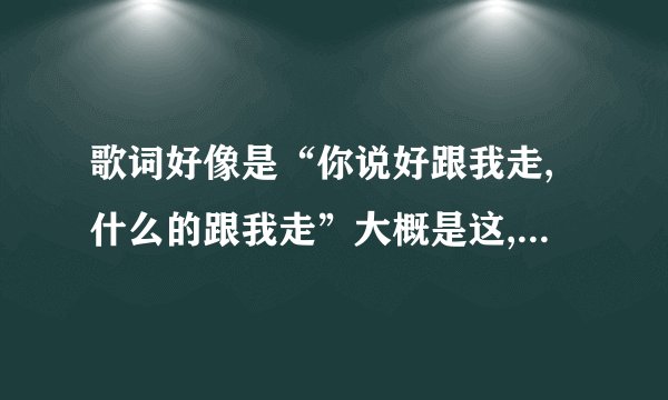 歌词好像是“你说好跟我走,什么的跟我走”大概是这,是什么歌?