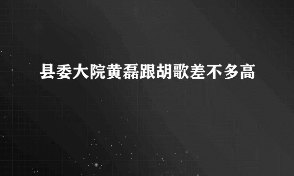 县委大院黄磊跟胡歌差不多高