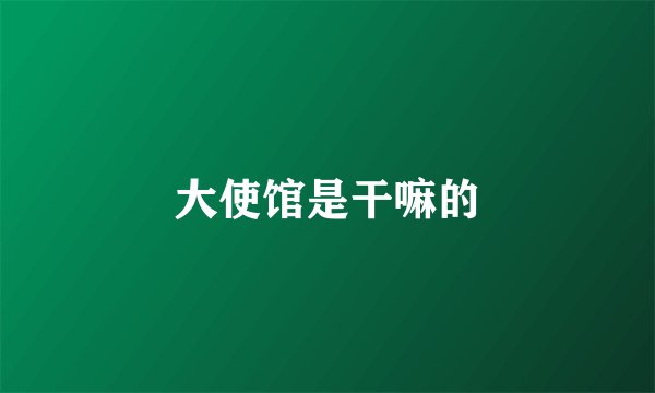 大使馆是干嘛的