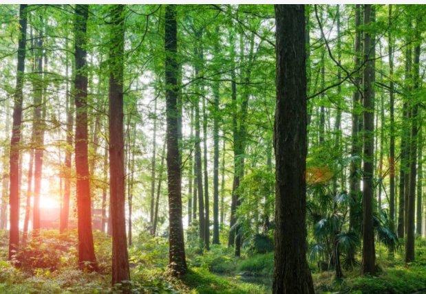 猜一猜古代专门管理国家山林的官职