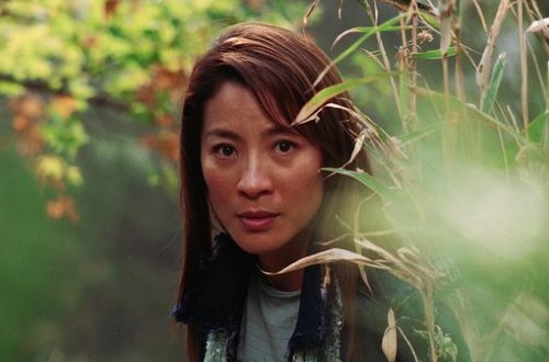 杨紫琼十大经典电影