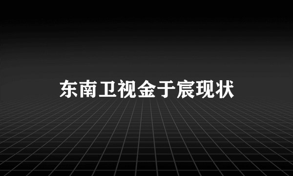 东南卫视金于宸现状