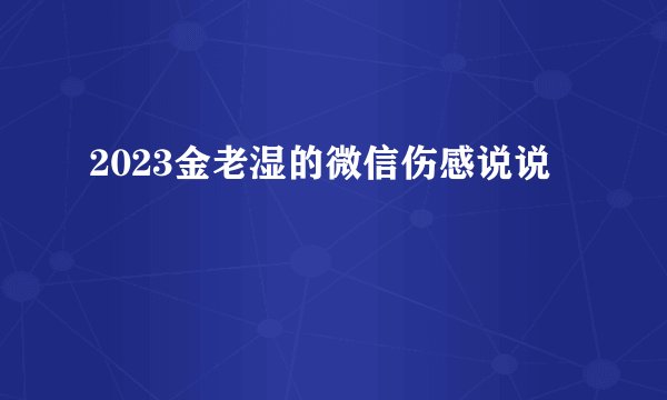 2023金老湿的微信伤感说说