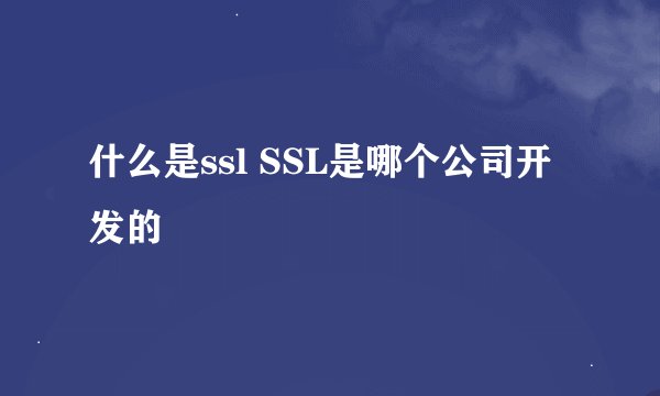 什么是ssl SSL是哪个公司开发的