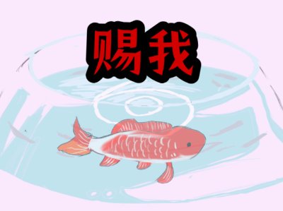 和我一场相爱,怎么你匆匆离开