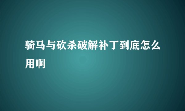 骑马与砍杀破解补丁到底怎么用啊