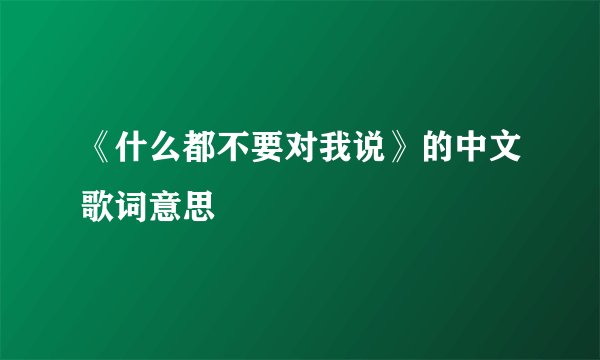 《什么都不要对我说》的中文歌词意思
