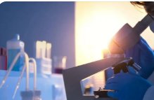 巴西亚马孙地区发现88.5米大树，或为世界最高，这一发现具有哪些价值？