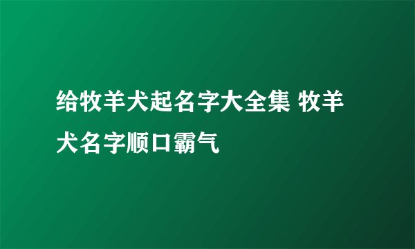 给牧羊犬起名字大全集 牧羊犬名字顺口霸气
