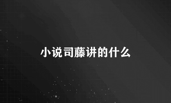 小说司藤讲的什么