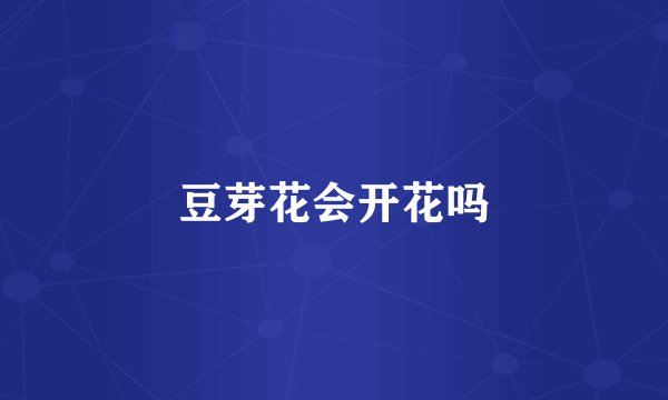 豆芽花会开花吗