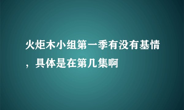 火炬木小组第一季有没有基情，具体是在第几集啊