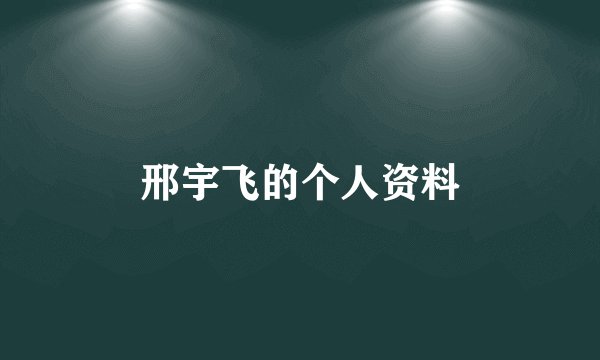邢宇飞的个人资料