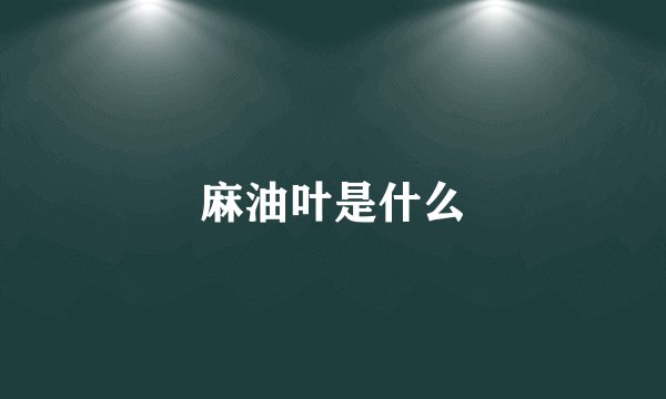 麻油叶是什么