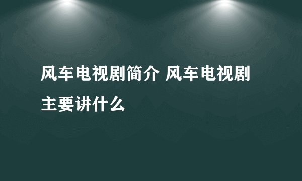 风车电视剧简介 风车电视剧主要讲什么