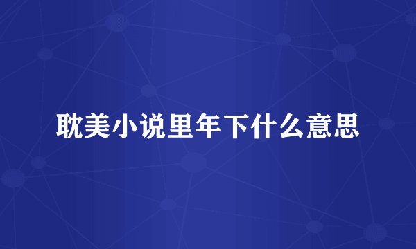 耽美小说里年下什么意思