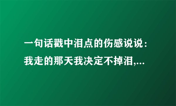 一句话戳中泪点的伤感说说：我走的那天我决定不掉泪,迎着风撑着