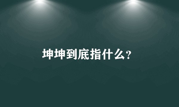坤坤到底指什么？