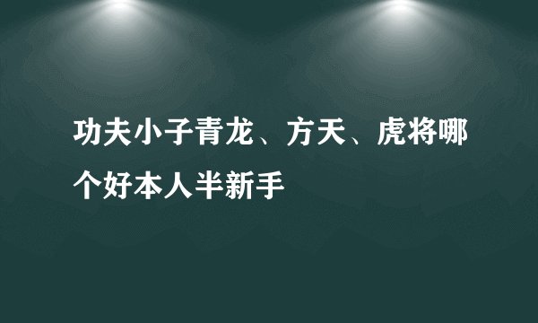 功夫小子青龙、方天、虎将哪个好本人半新手