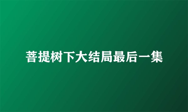 菩提树下大结局最后一集
