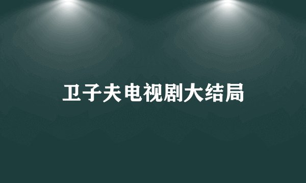 卫子夫电视剧大结局