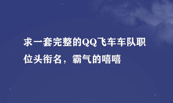 求一套完整的QQ飞车车队职位头衔名，霸气的嘻嘻