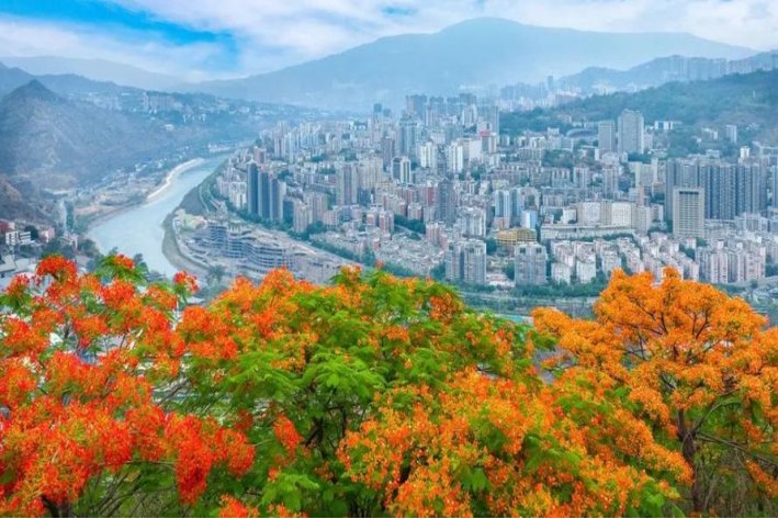 我国唯伊一个以花来命名的城市是哪一个