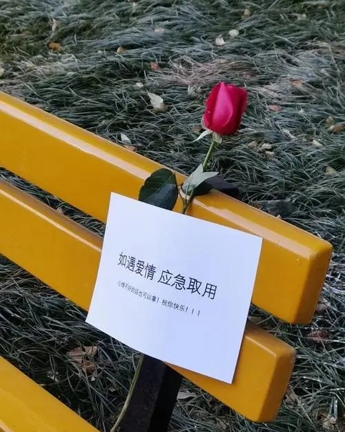 杭州退伍大学生自费准备上百朵应急玫瑰，他们做这一举动的初衷是什么？