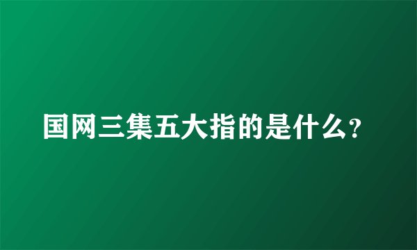 国网三集五大指的是什么？