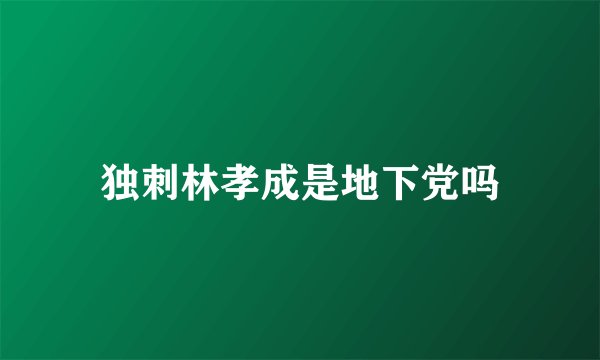 独刺林孝成是地下党吗