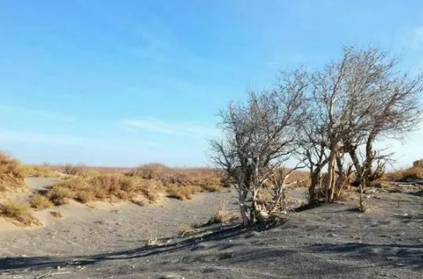 荒凉是什么意思