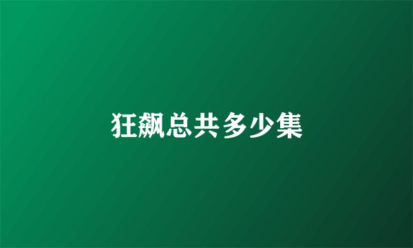 狂飙总共多少集