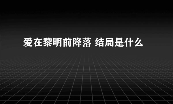 爱在黎明前降落 结局是什么